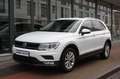 Volkswagen Tiguan COMFORT Autom. nur34tkm PDC/Tempo/Sitzhzg Wit - thumbnail 13