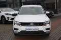 Volkswagen Tiguan COMFORT Autom. nur34tkm PDC/Tempo/Sitzhzg Wit - thumbnail 4