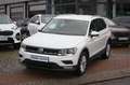 Volkswagen Tiguan COMFORT Autom. nur34tkm PDC/Tempo/Sitzhzg Wit - thumbnail 3