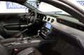 Ford Mustang GT 5.0 V8 420cv AUT Blanco - thumbnail 9