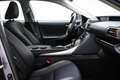 Lexus IS 300 300h Hybrid Business Line | SCHUIFDAK | SAFETY PAC Grau - thumbnail 8