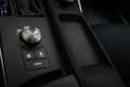 Lexus IS 300 300h Hybrid Business Line | SCHUIFDAK | SAFETY PAC Grau - thumbnail 41