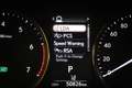 Lexus IS 300 300h Hybrid Business Line | SCHUIFDAK | SAFETY PAC Grau - thumbnail 36