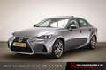 Lexus IS 300 300h Hybrid Business Line | SCHUIFDAK | SAFETY PAC Grau - thumbnail 1