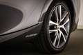 Lexus IS 300 300h Hybrid Business Line | SCHUIFDAK | SAFETY PAC Grau - thumbnail 20