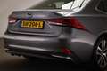 Lexus IS 300 300h Hybrid Business Line | SCHUIFDAK | SAFETY PAC Grau - thumbnail 21