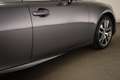 Lexus IS 300 300h Hybrid Business Line | SCHUIFDAK | SAFETY PAC Grau - thumbnail 24