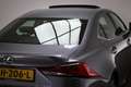 Lexus IS 300 300h Hybrid Business Line | SCHUIFDAK | SAFETY PAC Grau - thumbnail 23
