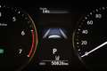 Lexus IS 300 300h Hybrid Business Line | SCHUIFDAK | SAFETY PAC Grau - thumbnail 37