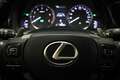 Lexus IS 300 300h Hybrid Business Line | SCHUIFDAK | SAFETY PAC Grau - thumbnail 35