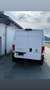 Fiat Ducato 250/A7MFB/HY - Gültiges Pickerl - thumbnail 3
