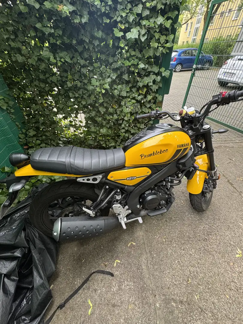 Yamaha XSR 125 mtm - 1