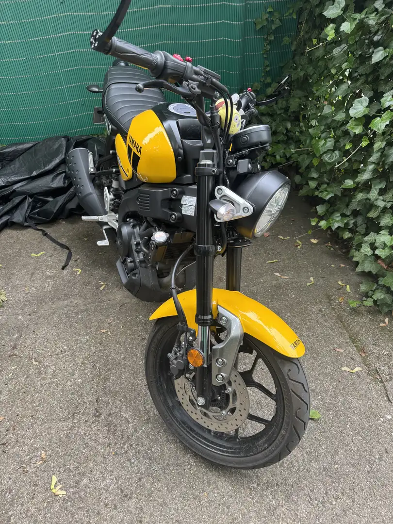 Yamaha XSR 125 mtm - 2