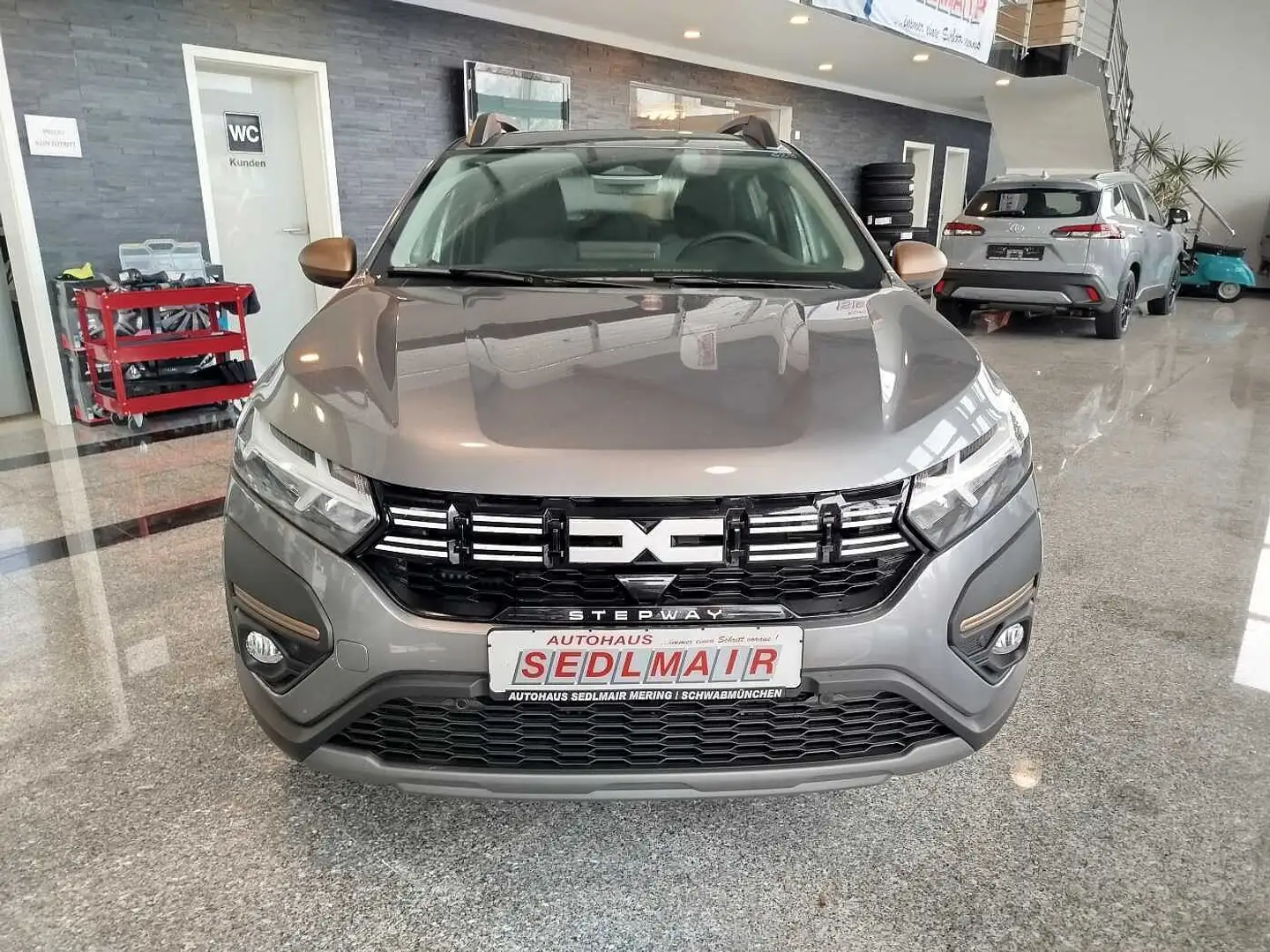 Dacia Sandero Stepway Extreme TCe 110 SHZ/PDC V+H/KAMERA Grau - 1