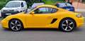 Porsche Cayman Cayman 2.7 3p 2006 Edition Amarillo - thumbnail 3