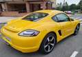 Porsche Cayman Cayman 2.7 3p 2006 Edition Amarillo - thumbnail 8