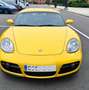 Porsche Cayman Cayman 2.7 3p 2006 Edition Amarillo - thumbnail 10