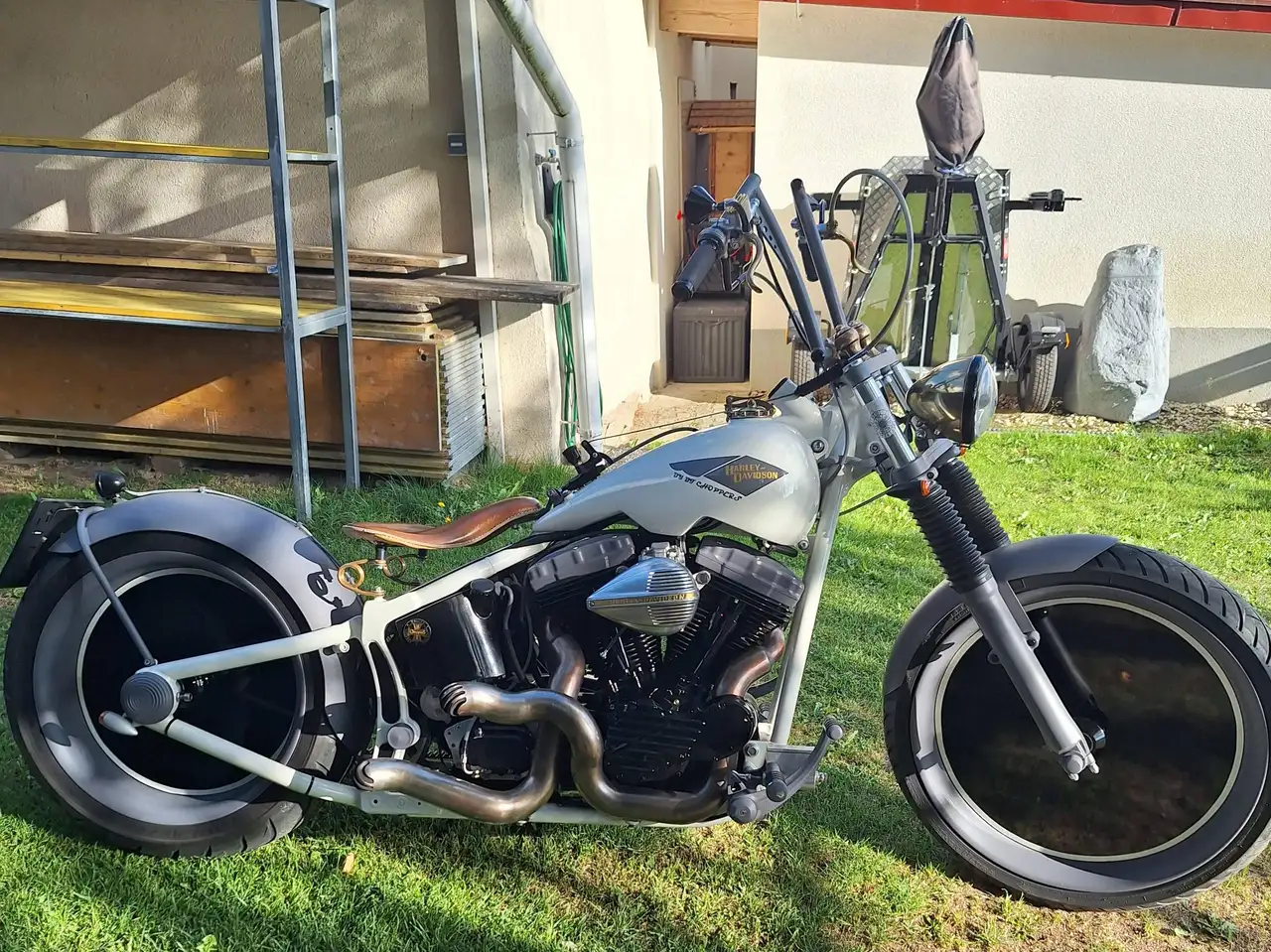 Harley-Davidson Custom Bike
