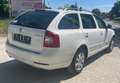 Skoda Octavia Combi Ambiente 4X4 Weiß - thumbnail 5