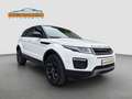 Land Rover Range Rover Evoque 2.0 Turbo 241 PS Blanc - thumbnail 3