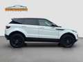 Land Rover Range Rover Evoque 2.0 Turbo 241 PS Blanc - thumbnail 4