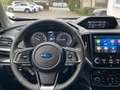 Subaru Forester Active LED KAMERA ACC AHK CARPLAY H&K Grau - thumbnail 16