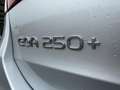 Mercedes-Benz EQA 250+ Business Edition | AMG-line | Night-Pakket | Plateado - thumbnail 31