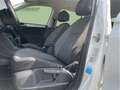 Volkswagen Tiguan 1,5 TSI ACT Comfortline //  DSG Weiß - thumbnail 10