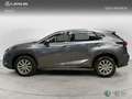 Lexus NX 200t SUV BUSINESS 2.5 Híbrido Gasolina (197CV) Transmi Grigio - thumbnail 3