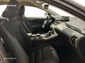 Lexus NX 200t SUV BUSINESS 2.5 Híbrido Gasolina (197CV) Transmi Grigio - thumbnail 6