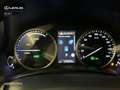 Lexus NX 200t SUV BUSINESS 2.5 Híbrido Gasolina (197CV) Transmi Grigio - thumbnail 11