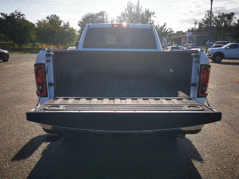 Image 8