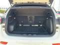 Jeep Compass 1.3 MultiAir S FWD (EURO 6d) Blanco - thumbnail 12