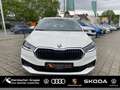 Skoda Fabia 1.0 MPI Active Lane Assist Winter-Paket Bianco - thumbnail 1
