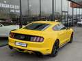 Ford Mustang GT Fastback V8 5.0L - Black shadow edition Jaune - thumbnail 7