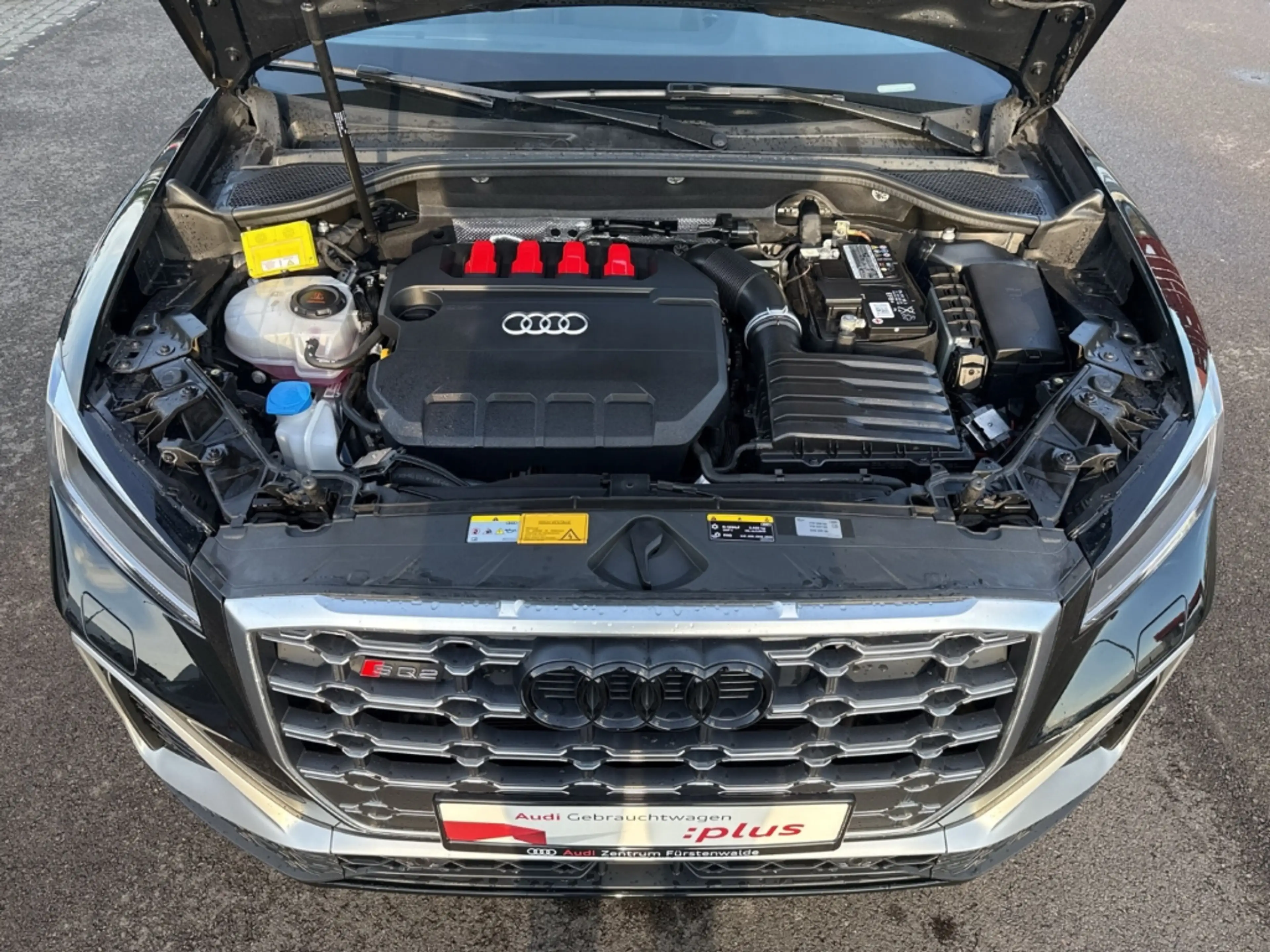 Audi SQ2 2.0 TFSI S tronic quattro Navi LED 2-Zonen-Klimaau — photo 15