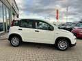 Fiat Panda MY22 Hybrid 1.0 GSE 51kW (70PS) *KLIMA*BT*DAB* White - thumbnail 4