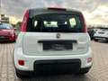 Fiat Panda MY22 Hybrid 1.0 GSE 51kW (70PS) *KLIMA*BT*DAB* Wit - thumbnail 5