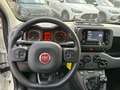 Fiat Panda MY22 Hybrid 1.0 GSE 51kW (70PS) *KLIMA*BT*DAB* Blanco - thumbnail 10
