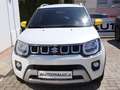 Suzuki Ignis 1,2 4x4 Dualjet Hybrid Allgrip Shine Weiß - thumbnail 5