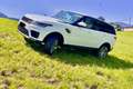 Land Rover Range Rover Sport 3,0 TDV6 SE Aut. - thumbnail 14