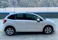 Citroen C3 1.1 Exclusive neopatentati TETTO PANORAMICO Bianco - thumbnail 5