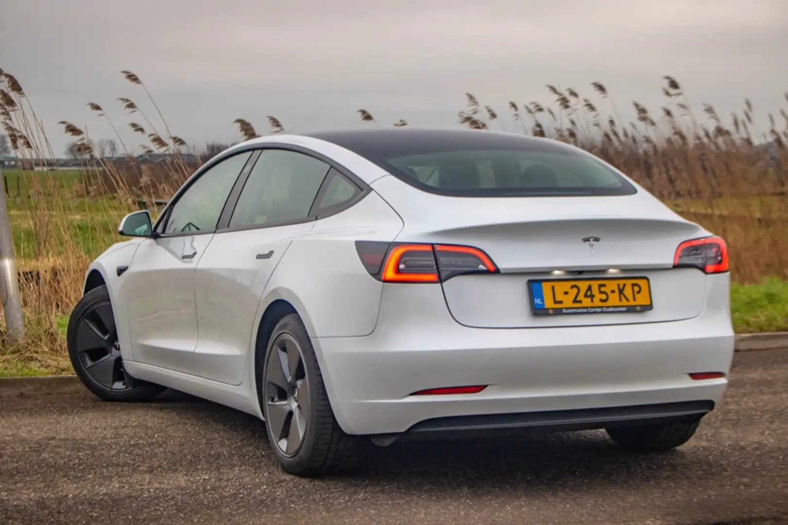 Tesla Model 3 Standard Range Plus 60 kWh | 306 PK | AUTO PARK | Wit - 2