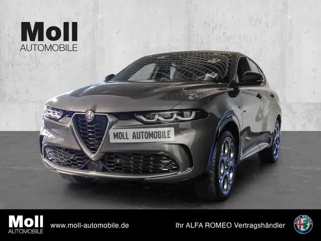 Alfa Romeo Tonale SPECIALE - WINTERPAKET - PREMIUMPAKET