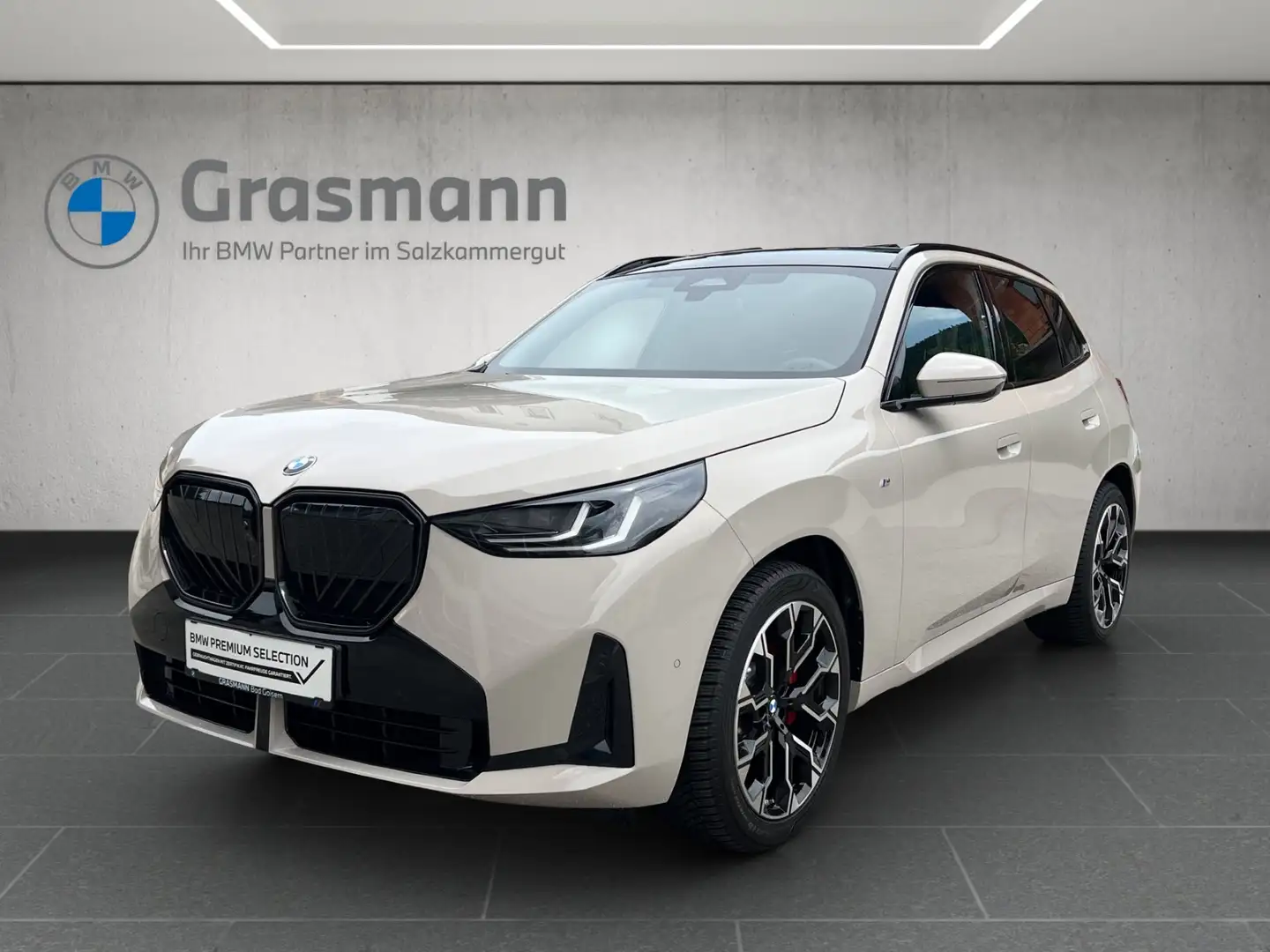 BMW X3 20d xDrive Grau - 1