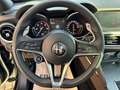 Alfa Romeo Stelvio 2.2 Turbodiesel 210 CV AT8 Q4 Executive XENO-NAVI Noir - thumbnail 9