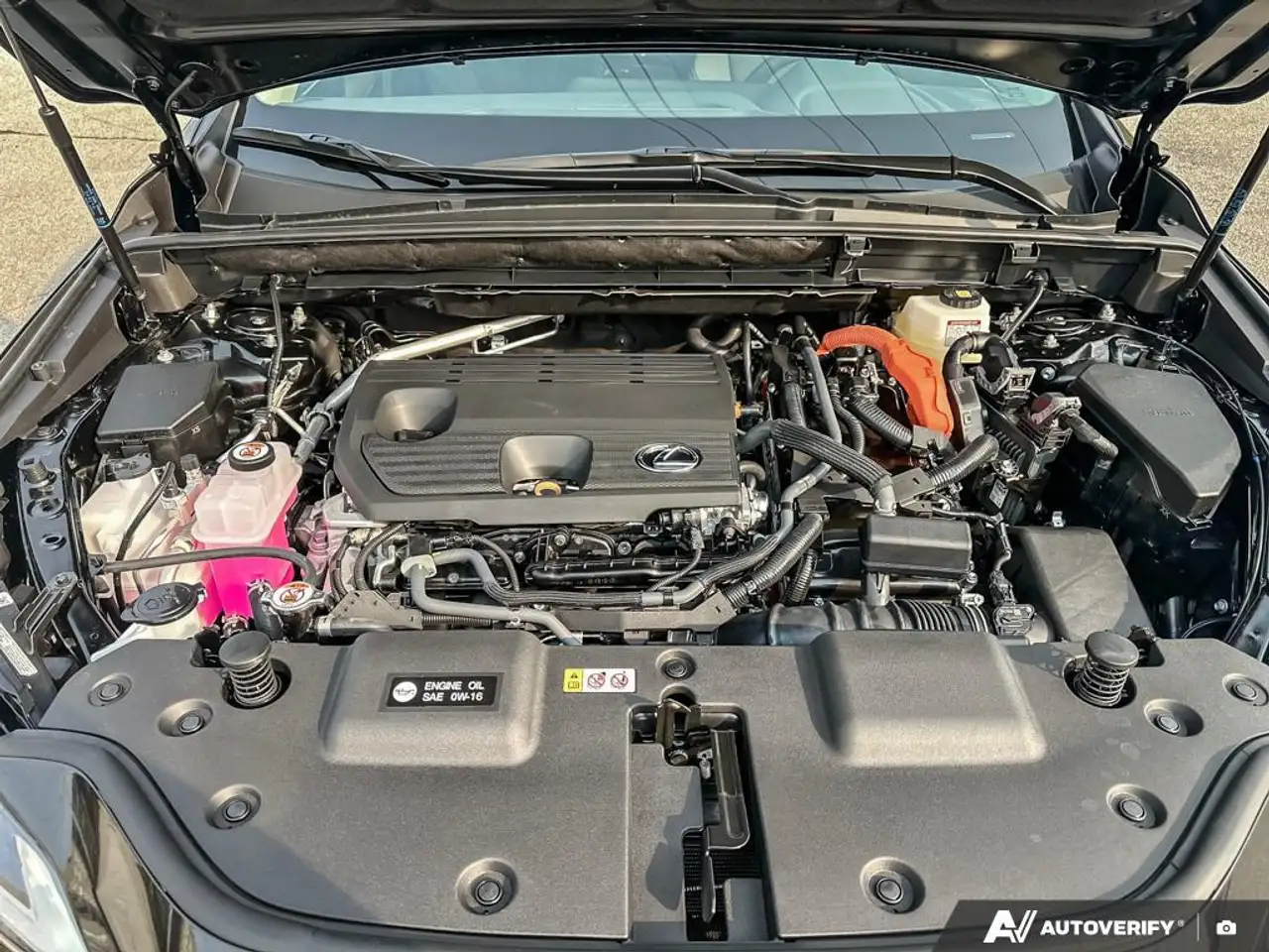 Lexus NX fotografie Lexus NX