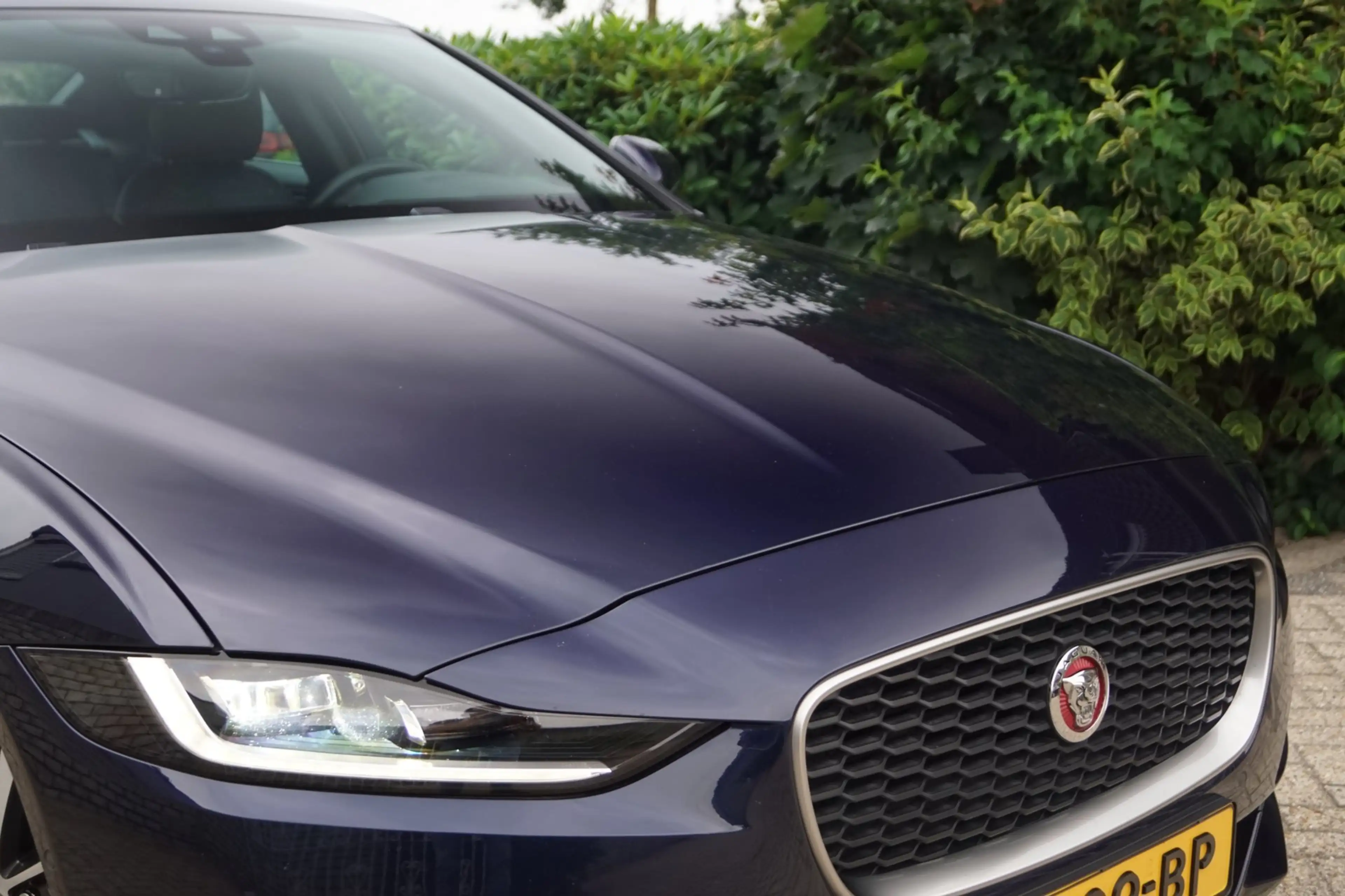 Jaguar XE 2.0 P250 R-Dynamic SE Autom Leder Sportst Stoel/St — photo 25
