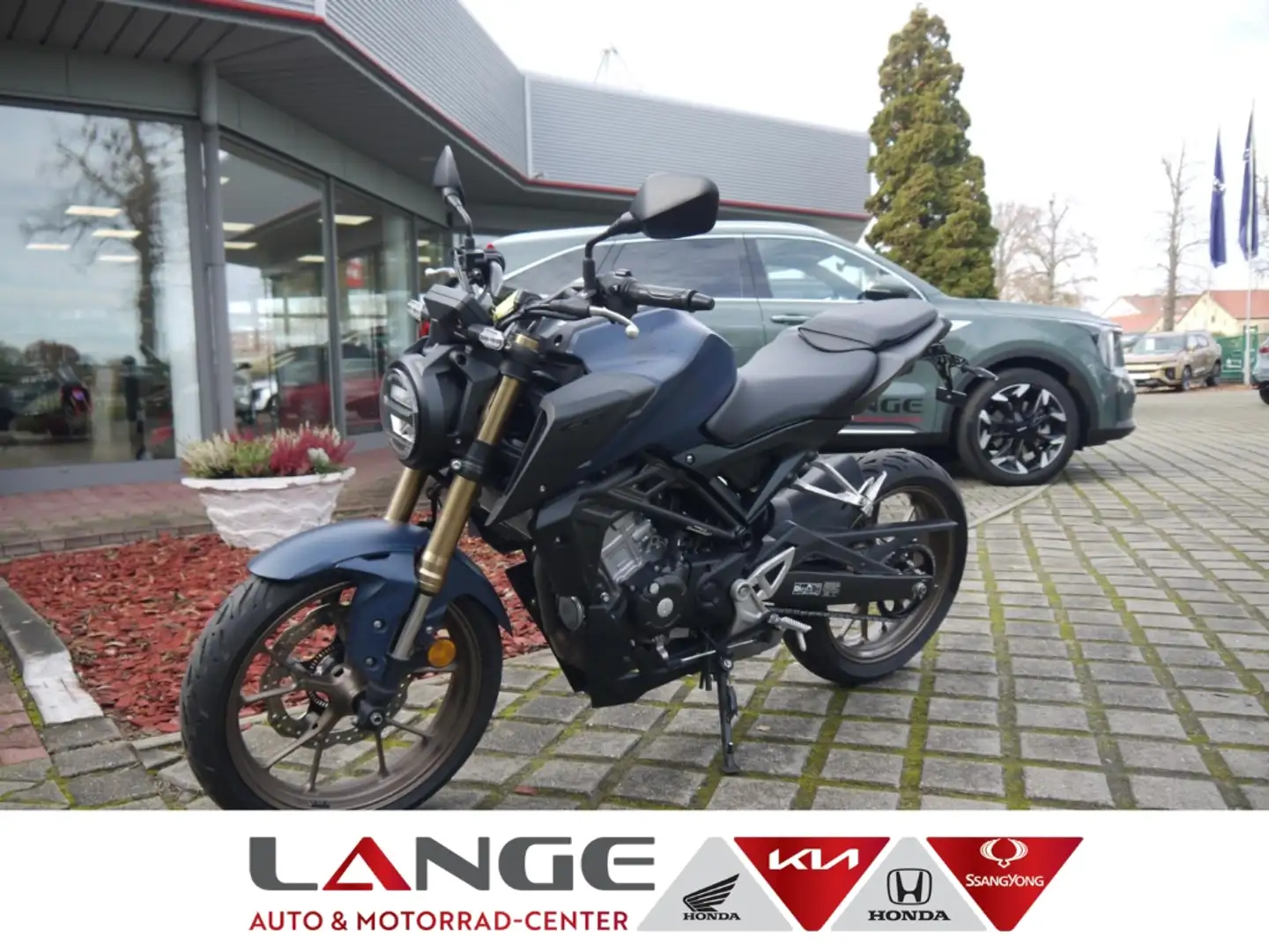 Honda CBF 125 CBF125NAP ED JC91 CB125R kurzer Kz.-Halter Bleu - 1