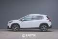 Peugeot 2008 1.6 BlueHDI 100CV Allure Bianco - thumbnail 2